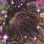 Profile Picture of Dorianne Finlay (@finlaydorianne) on Instagram