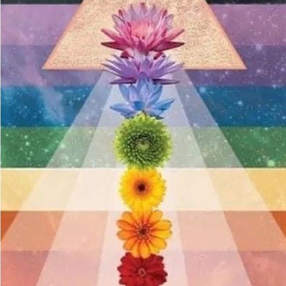 Daisy Flower - Poshmark Profile Picture of Daisy Flower (@daisy_world) on Poshmark