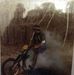 Profile Picture of Mark Finkelstein (@mark.finkelstein.7509) on Facebook