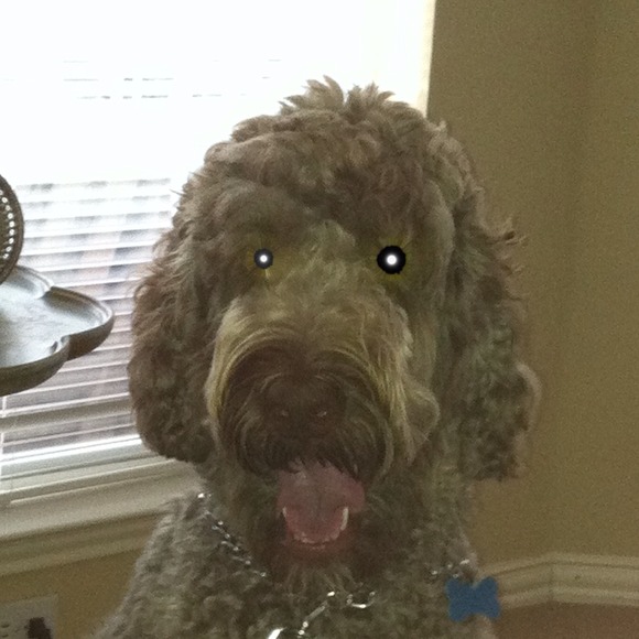 Profile Picture of Molly Gillard (@mollygillard) on Poshmark