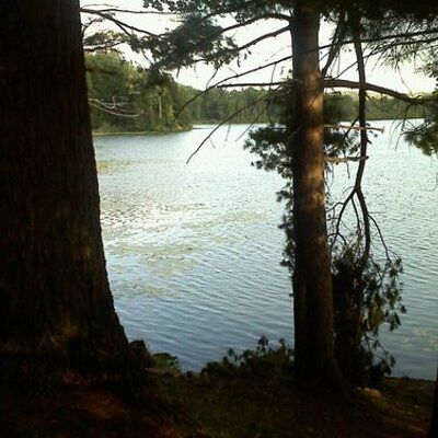 Profile Picture of Kelly Chalmers (@kellysue88) on Twitter