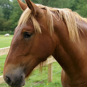 Profile Picture of Daniel Bailey (@danielbailey141) on Youtube