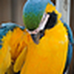 Profile Picture of Wade Richardson (@wadelyjames) on Flickr