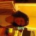 Profile Picture of Pamela Maze (@pamela.maze) on Facebook