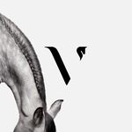 Profile Picture of Lisa Vieten (@vieten.equine.images) on Instagram