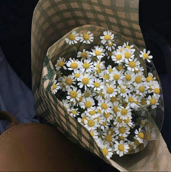 Profile Picture of Briana Desilva (@bri17380) on Poshmark