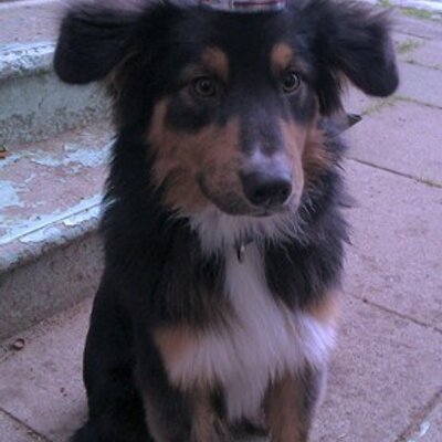Profile Picture of Steven Edgerton (@edgesteve28) on Twitter
