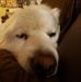 Profile Picture of Scott Rabb (@scott.rabb) on Facebook
