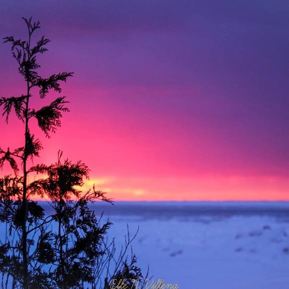 Profile Picture of Marshall Woody (@bluehrafn) on Poshmark