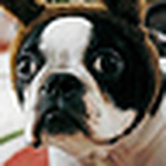 Profile Picture of Dan O (@danoken) on Flickr