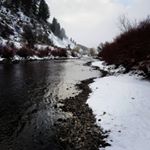 Profile Picture of Joe Torrence (@uttroutjunkie) on Instagram