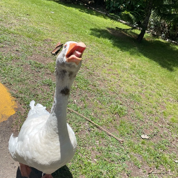 Kevin Paz - Poshmark Profile Picture of Kevin Paz (@kevinpaz13) on Poshmark