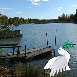 Profile Picture of Frances Maley (@Frances-Maley) on Facebook