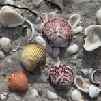 Allen Biehler - Facebook Profile Picture of Allen Biehler (@allen.biehler.12) on Facebook