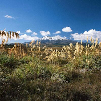 Profile Picture of Mark Pettibone (@Markpcre) on Twitter