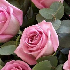 Profile Picture of Jason Frizzelle (@user556774049) on Tiktok