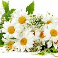 Minoti Idgunji - Quora Profile Picture of Minoti Idgunji (@minoti-idgunji) on Quora