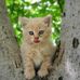 Profile Picture of Alechka Lyalechka (@alechka.lyalechka.1) on Facebook