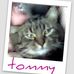 Profile Picture of Tommy Liner (@tommy.liner.9) on Facebook