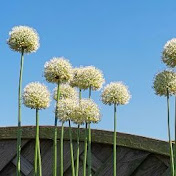 Profile Picture of Nicola Sutton (@apex-visionz5026) on Youtube