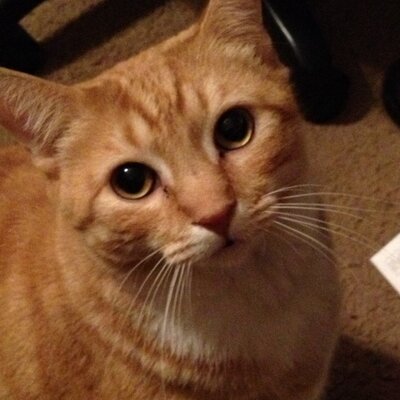 Profile Picture of Sheldon (@AndyDavidson17) on Twitter