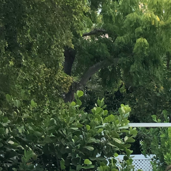 Laura Niziolek - Poshmark Profile Picture of Laura Niziolek (@lfieder) on Poshmark