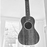 Profile Picture of Benjamin Williams (@hogbacacoustics) on Flickr