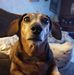 Profile Picture of Joey Billat (@joey.billat) on Facebook