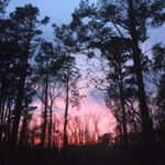 Profile Picture of Lisa Bonadies (@lmbona49) on Instagram