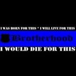 Profile Picture of James Cragle (@boosted_bullet) on Instagram