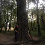 Profile Picture of Evan Stringer (@stringer5717) on Instagram