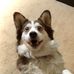 Profile Picture of Evan Cramer (@evan.cramer.108) on Facebook