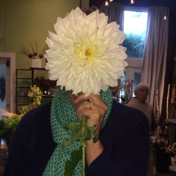 Profile Picture of Dana Roberts (@danaroberts401) on Poshmark