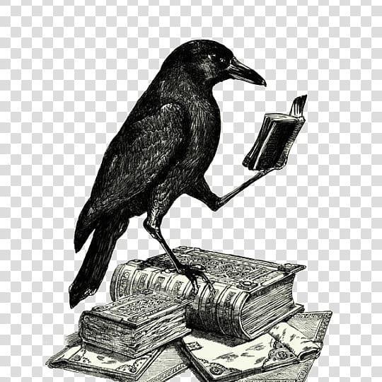 Profile Picture of Robert Byrd (@@robertbyrd) on Tiktok