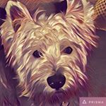 Profile Picture of Jim Tomlinson (@jim_tomlinson) on Instagram