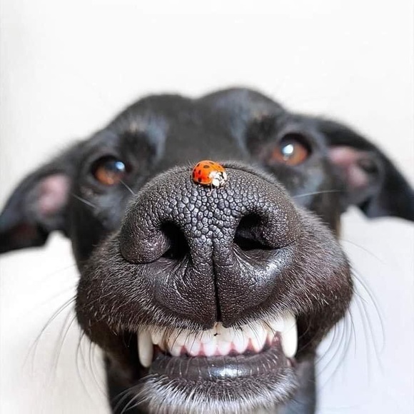 Profile Picture of Eva Holmes (@evaholmes195) on Poshmark