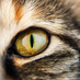 Profile Picture of Andres Facundo (@andresfacundo2) on Twitter