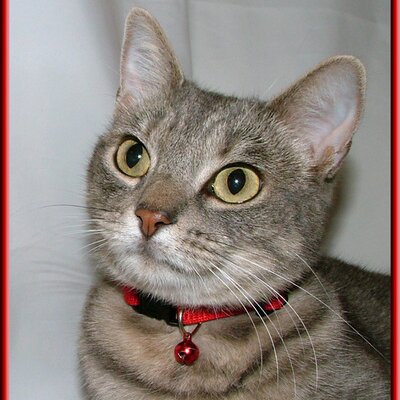Profile Picture of Marilyn-Kaye Walker Insurance (@nicedaytoyou) on Twitter