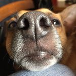 Profile Picture of Michele de Cianni (@decia75) on Instagram