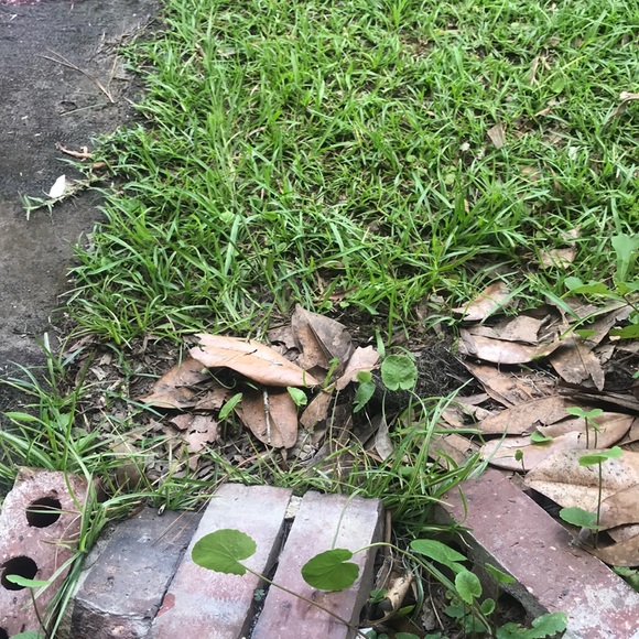 Profile Picture of Alexander Lindsay (@mrlindsaythaman) on Poshmark