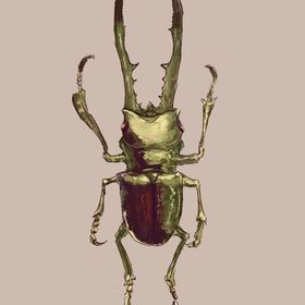 Profile Picture of Bogdan Preda (@bogdanpreda) on Pinterest