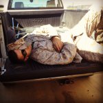 Profile Picture of Steven Schwartz (@shocktopsteve) on Instagram