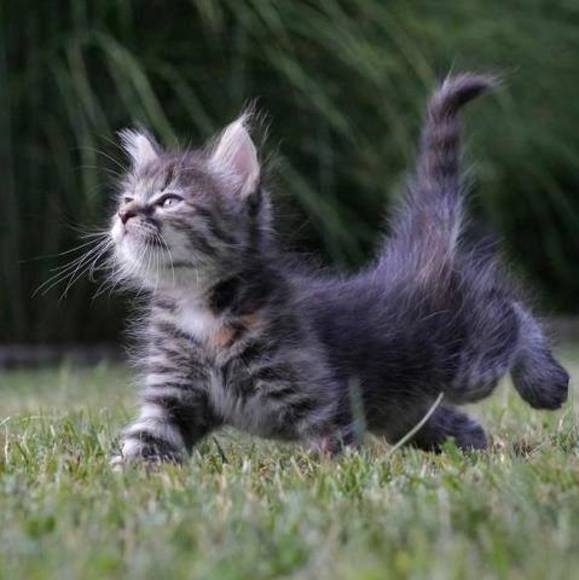 Profile Picture of Jade Wu (@jadewu4571) on Poshmark