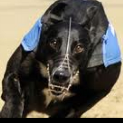 Profile Picture of George Grayson (@ggrayson39) on Twitter