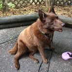 Profile Picture of Richard Overall (@richard.overall.923) on Facebook