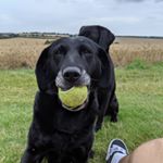 Profile Picture of Alex Haddon (@ahaddonalt) on Instagram