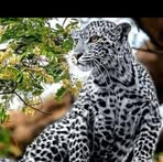 Profile Picture of James Hateka (@james.hateka.73) on Facebook