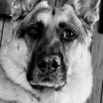 Profile Picture of Brian Batchelder (@brian.batchelder.520) on Facebook