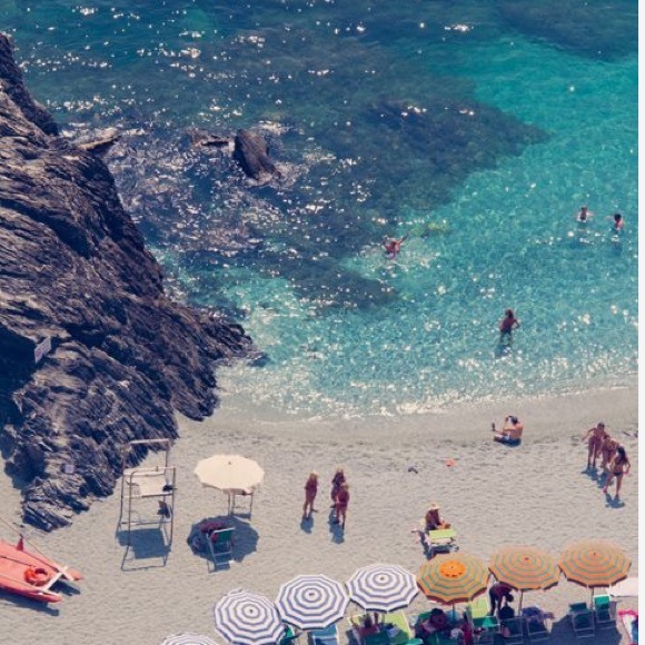 Profile Picture of Chrissy Diluglio (@nala1rose) on Poshmark