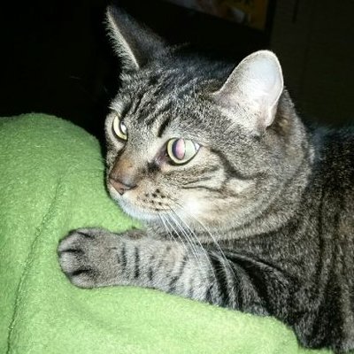 Profile Picture of Brian D.M Yager (@Deathsacrament) on Twitter